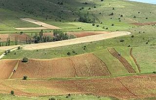 Çamoluk ilçesinde atıl araziler tarıma kazandırılıyor