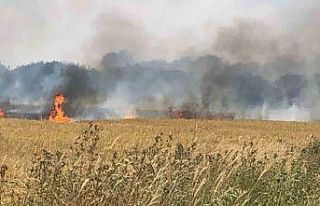 Çanakkale’de 45 dönüm tarım arazisi yanarak...