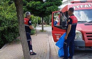 Çan’da itfaiye ekipleri yol kenarında yakaladıkları...