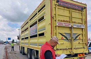 Canlı hayvan sevkiyatının hızlandığı bölgelerde...