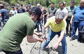 Caretta carettaların yuva çevresine güvenlik amacıyla...