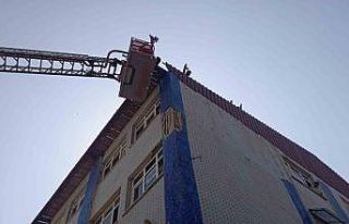 Çatıda mahsur kalan baykuşları itfaiye kurtardı
