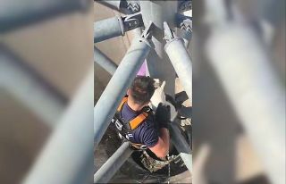 Çatıda mahsur kalan kediyi itfaiye kurtardı