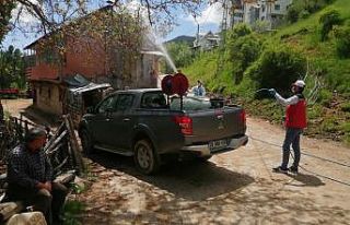 Çekirgelerin istila ettiği köyde ilaçlama çalışmaları...
