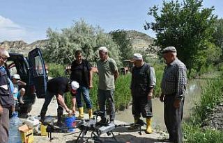 Çeltik tarlaları ZİHA ile ilaçlandı, çiftçiler...