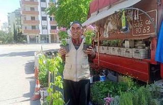 Çiçekçi dede, kendi yetiştirdiği fidelerle ekonomik...