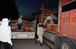 Çiftçiye arılı kovan dağıtıldı