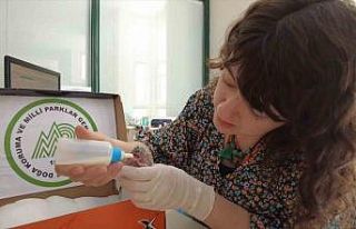 Çimleri keserken dikkat edin...