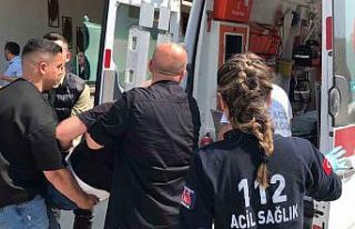 Cip ile kamyonet çapıştı: 1 yaralı