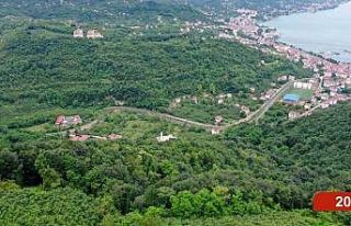 Çöp dağından yeşil ormana