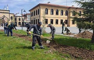 Çorum’da mezarlıklar bayrama hazırlanıyor