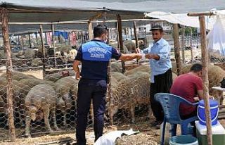 Çukurova’da Kurban satış yerleri belirlendi