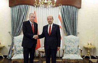Cumhurbaşkanı Erdoğan, Tatar ile baş başa görüştü