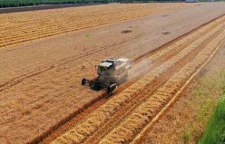 Cumhurbaşkanı Erdoğan’ın buğday fiyatı açıklaması...