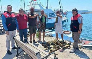 Cunda Adası’nda deniz dibi temizliği yaptılar