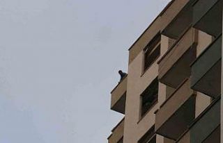 Cüzdanı çalınınca ağır hasarlı binanın damına...