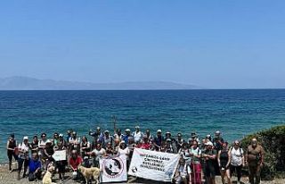 Datça’da Barkas Koyu temizlendi