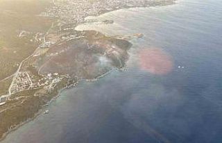 Datça’daki orman yangını kontrol altına alındı