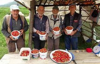 Demirciören çileği tezgahlarda