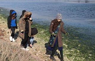 "Deniz marulundan ambalaj" projesine birincilik...