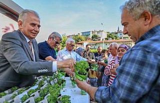 Denizli fesleğen kokacak
