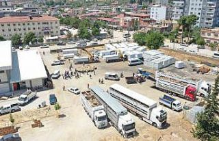 Depremde hayvanları telef olan üreticilere Tarım...
