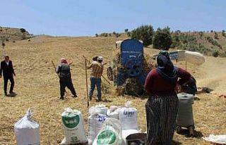 Devlet desteğiyle atıl durumdaki arazi tarıma kazandırıldı