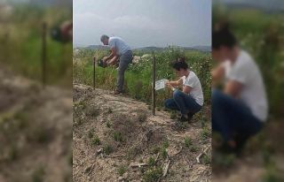 Didim’in pamuğu temiz çıktı
