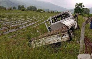 Direksiyon hakimiyetini kaybetti, tarlaya girdi