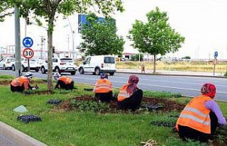 Diyarbakır 700 bin mevsimlik çiçekle süslendirildi
