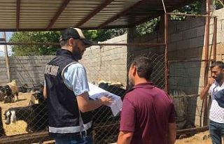 Diyarbakır polisinden kurban satıcılarına ’sahte...