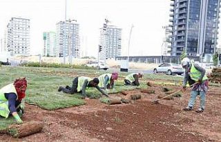 Diyarbakır’da bulvar yeşillendirme çalışmaları...