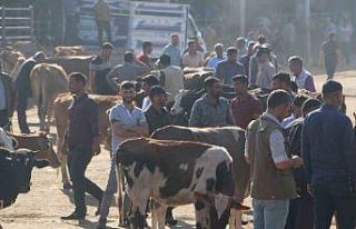 Diyarbakır’da işin ehlinden acemi kasap uyarısı