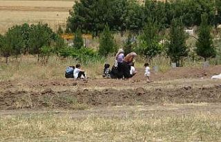 Diyarbakır’da katliam gibi arazi kavgasında cenazeler...