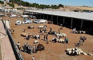 Diyarbakır’da kurban satış ve kesim yerleri belirlendi