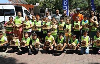 Doğadaki kuşlara özel  yuva