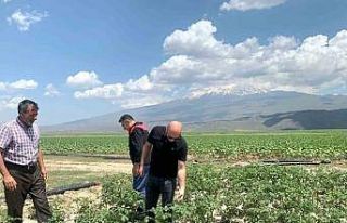 Doğubayazıt Kaymakamı Ekinci, meyve ve sebze bahçelerinde...