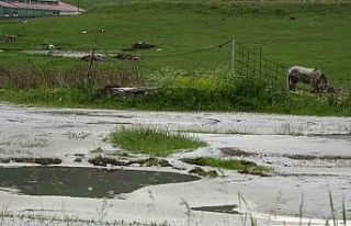 Dolu yağışı sonrası her yer beyaza büründü