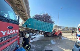 Dorsesi açılan kamyon üst geçide çarptı: 1 yaralı