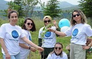 ‘Dünya Tütünsüz Günü’ sebebiyle fidan dikimi...