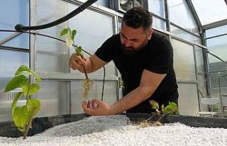 Dünyada ilk kez denendi, çiftçilerden yoğun ilgi...