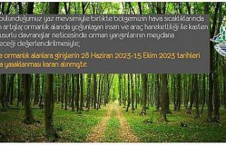 Edirne’de ormanlık alanlara girişler yasaklandı