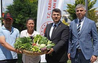Edirne’de örtü altı tarımla üretilen ürünler...