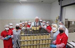 Efeler’in Tarımsal Ürün Fabrikası Türkiye’ye...