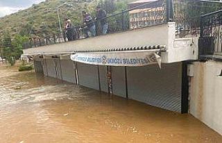 Ekinözü’nde yağmur sele neden oldu