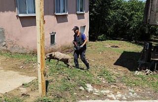 Ekipler her yerde onu arıyordu, evinden 60 kilometre...