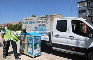 Elazığ Belediyesi, sokak hayvanları için mama...