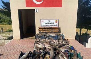Elazığ’da 6,5 ton kaçak avlanmış balık ele...