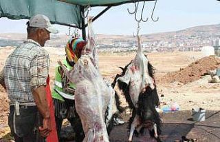 Elazığ’da bayramın üçüncü gününde kurban...