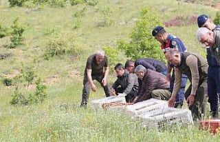 Elazığ’da doğaya keklik salımı yapıldı
